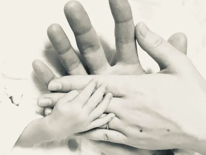 赤ちゃんと家族の手の写真